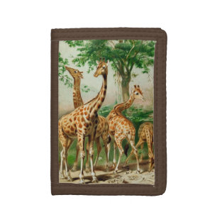 Vintage 1900 Giraffe Print on Wallet