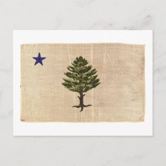 Vintage 1901 Maine Flag Postcard