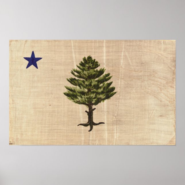 Vintage 1901 Maine Flag Print (Cropped) (Front)