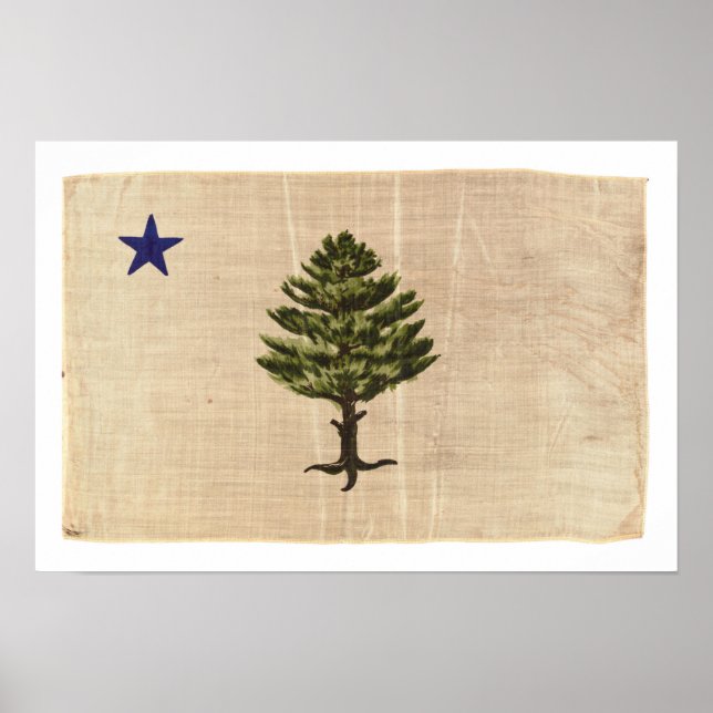 Vintage 1901 Maine Flag Print (Large) (Front)