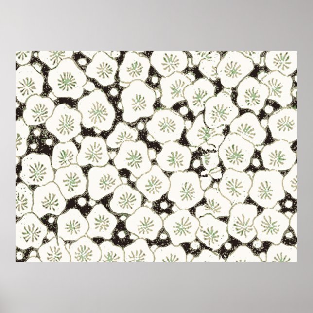 Vintage 1902 Japanese Floral: Black White Blossom  Poster (Front)