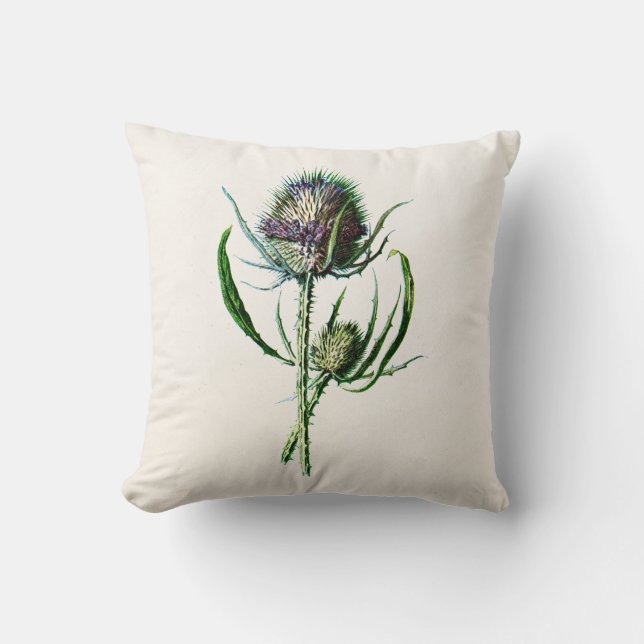 Vintage 1902 Old Scottish Thistle Wild Flower Cushion (Front)