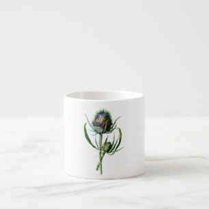 Vintage 1902 Scottish Thistle Antique Wild Flower Espresso Cup