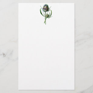 Vintage 1902 Scottish Thistle Antique Wild Flower Stationery