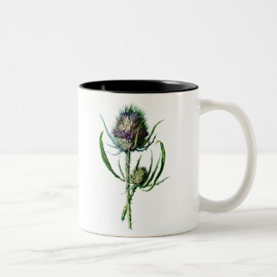 Vintage 1902 Scottish Thistle Antique Wild Flower Two-Tone Coffee Mug