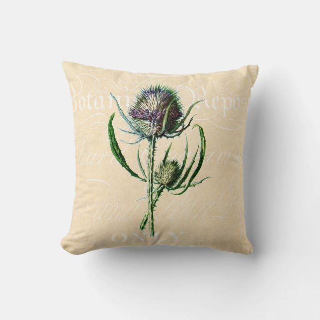 Vintage 1902 Scottish Thistle Antique Wildflower Cushion (Front)