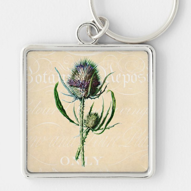 Vintage 1902 Scottish Thistle Antique Wildflower Key Ring (Front)