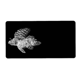 Vintage 1905 Lionfish Scorpionfish Black Lion Fish