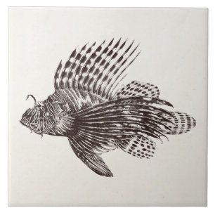 Vintage 1905 Lionfish Scorpionfish Retro Lion Fish Tile