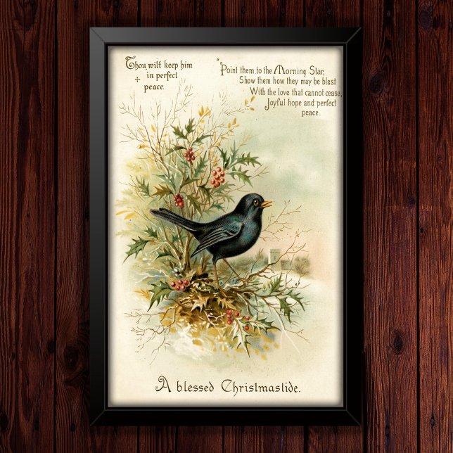 Vintage 1908 Blackbird Christmas Holiday Art Poster (Creator Uploaded)