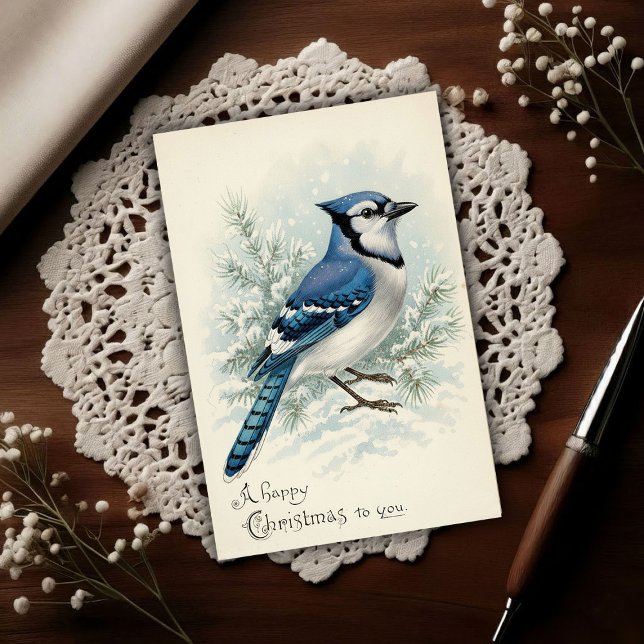 Vintage 1908 Blue Jay Christmas  Postcard (Creator Uploaded)