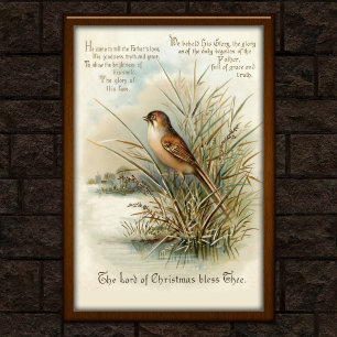 Vintage 1908 Christmas Bird Greeting Card Art Poster