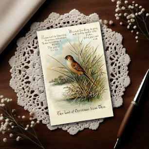 Vintage 1908 Christmas Bird Greeting Postcard