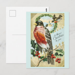 Vintage 1908 Christmas Robin On Holly Branch Postcard