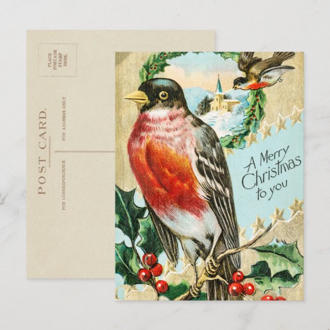 Vintage 1908 Robin Bird Merry Christmas Holiday Postcard (Front/Back)