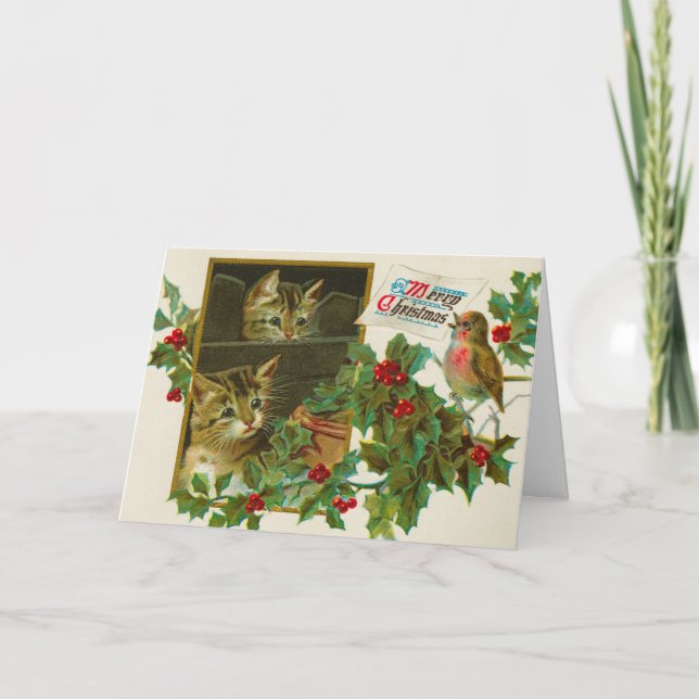 Vintage 1911 Cats with Bird Merry Christmas Card (Front)