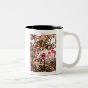 Vintage 1911 Orchid Flower Variety Illustration Two-Tone Coffee Mug