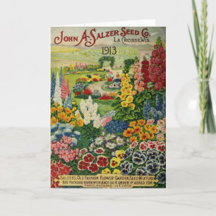 Vintage 1913 Seed Catalogue, Card