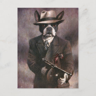 Vintage 1930's Gangster Boston Terrier Postcard