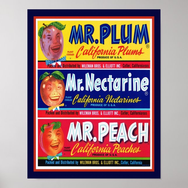 Vintage 1950's California Fruit Poster (Front)