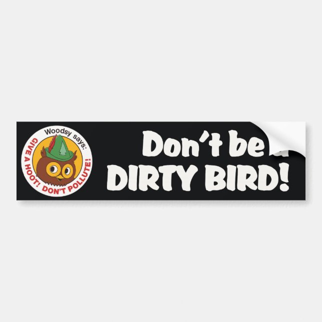 Vintage 1970s Woodsy Owl Bumper Sticker (Front)