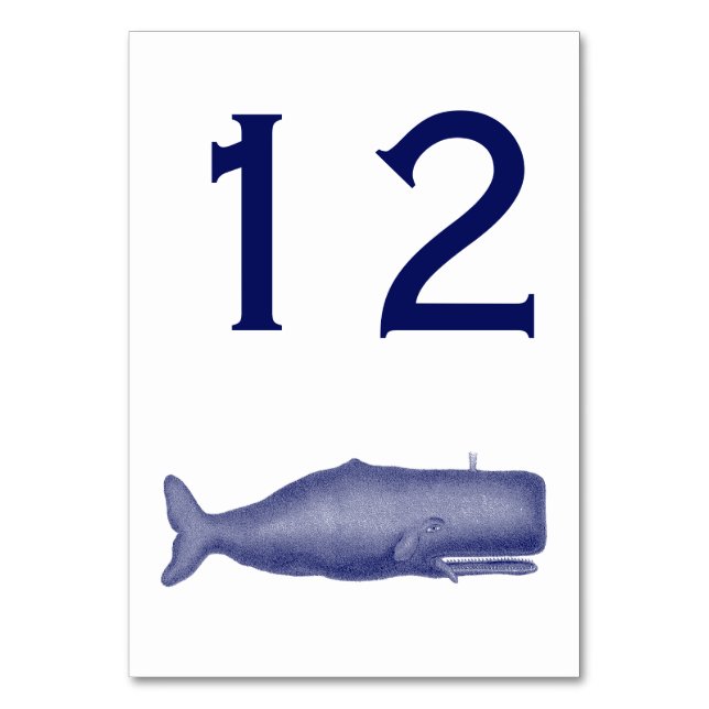 Vintage 19th Century Whale Drawing N Table Number (Front)