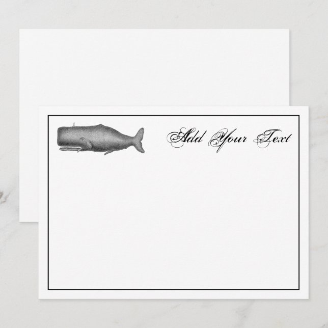 Vintage 19th Century Whale Drawing Note Card (Front/Back)