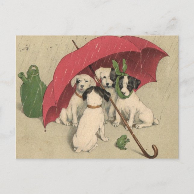 Vintage 4 Dogs Under Umbrella Postcard (Front)