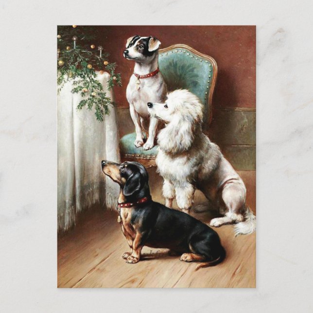 Vintage -  A Christmas Treat Holiday Postcard (Front)