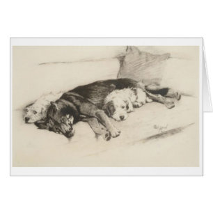 Vintage - A Cosy Trio of Dogs,