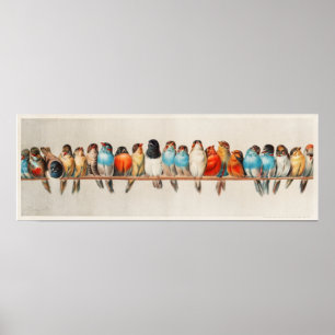 Vintage A Perch of Birds Poster