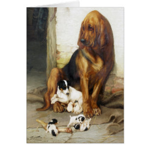 Vintage - A Protective Bloodhound,