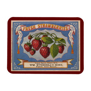 Vintage Ad for Fresh Strawberries circa 1868 Postc Magnet
