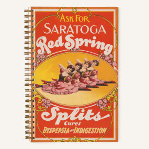 Vintage Ad For Saratoga Red Spring Splits Notebook
