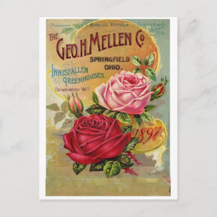 Vintage Ad Greeting Card Any Occasion