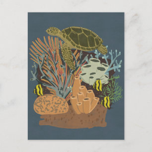 Vintage Adquarium Postcard