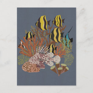 Vintage Adquarium Postcard