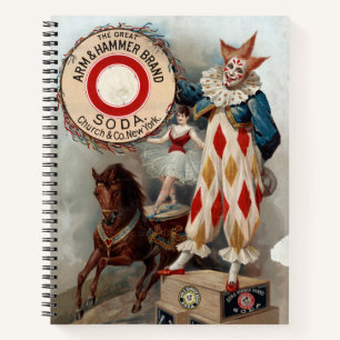 Vintage Advertisement For Arm & Hammer Soda Notebook
