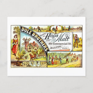 Vintage Advertisement for Dole Bros. Hops & Malt Postcard