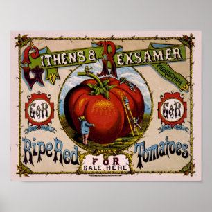Vintage Advertisement Ripe red tomatoes Poster