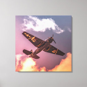 Vintage Aeroplane Beautiful Sky Canvas Print