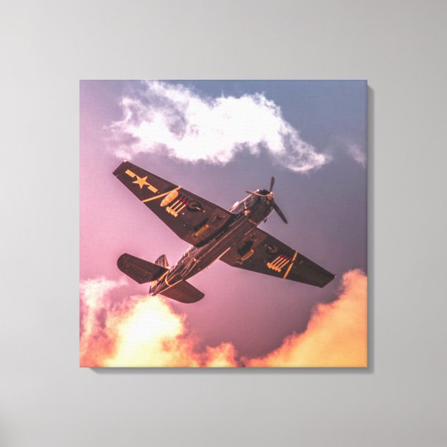 Vintage Aeroplane Beautiful Sky Canvas Print (Front)