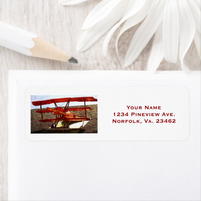 Vintage Aeroplane by Shirley Taylor (Insitu)