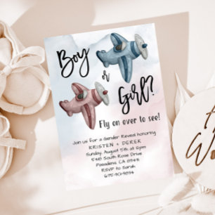 Vintage Aeroplane Gender Reveal Party Invitation