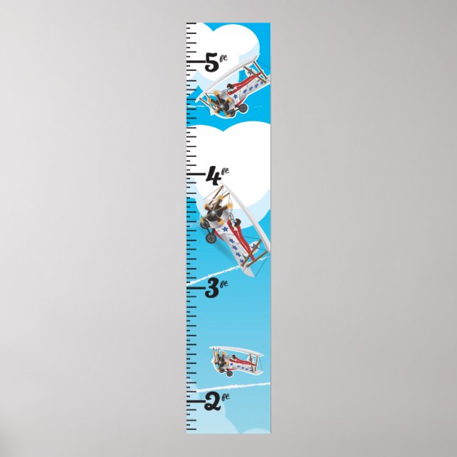 Vintage aeroplanes toy growth chart (Front)
