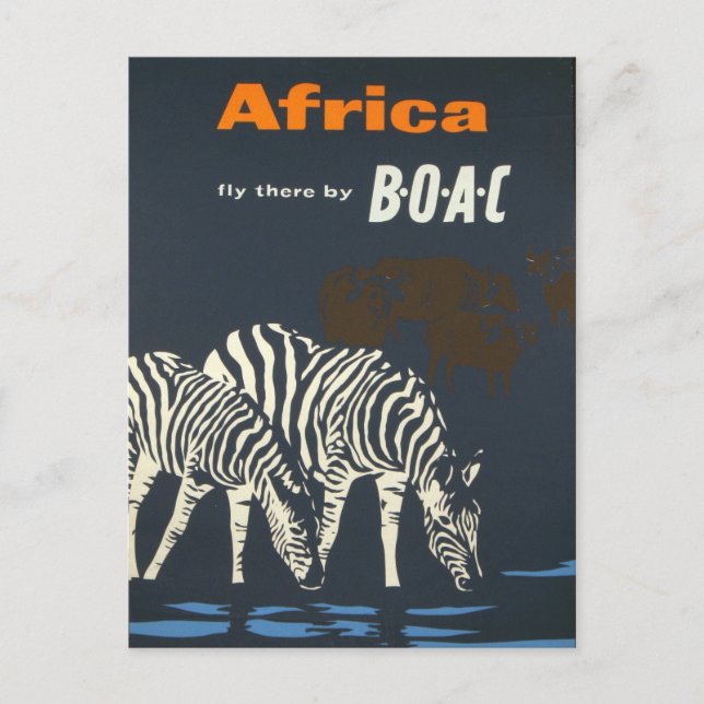 Vintage Africa Zebra Wildlife Travel Postcard (Front)
