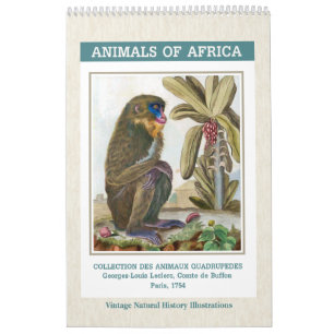 Vintage African Animals Illustrations 2026 Calendar