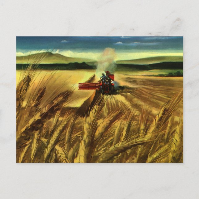 Vintage Agricultural Farm Business, Wheat Farming Postcard (Front)