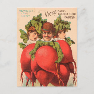 Vintage : agriculture advertising - postcard