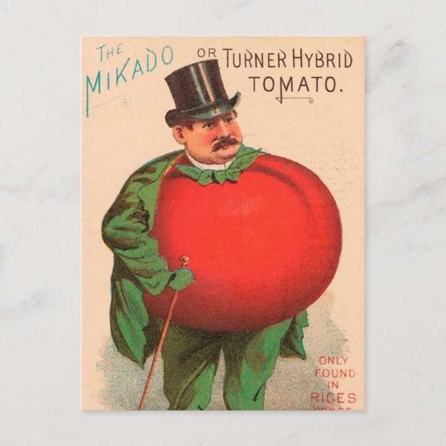 Vintage : agriculture advertising - postcard (Front)